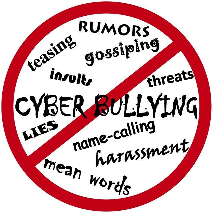 What are the 5 types of cyber bullying?